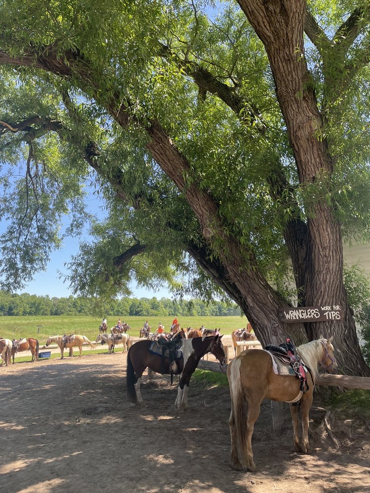 RAINBOW RANCH Updated September 2024 15 Photos & 19 Reviews 4345 S 44th Ave, New Era