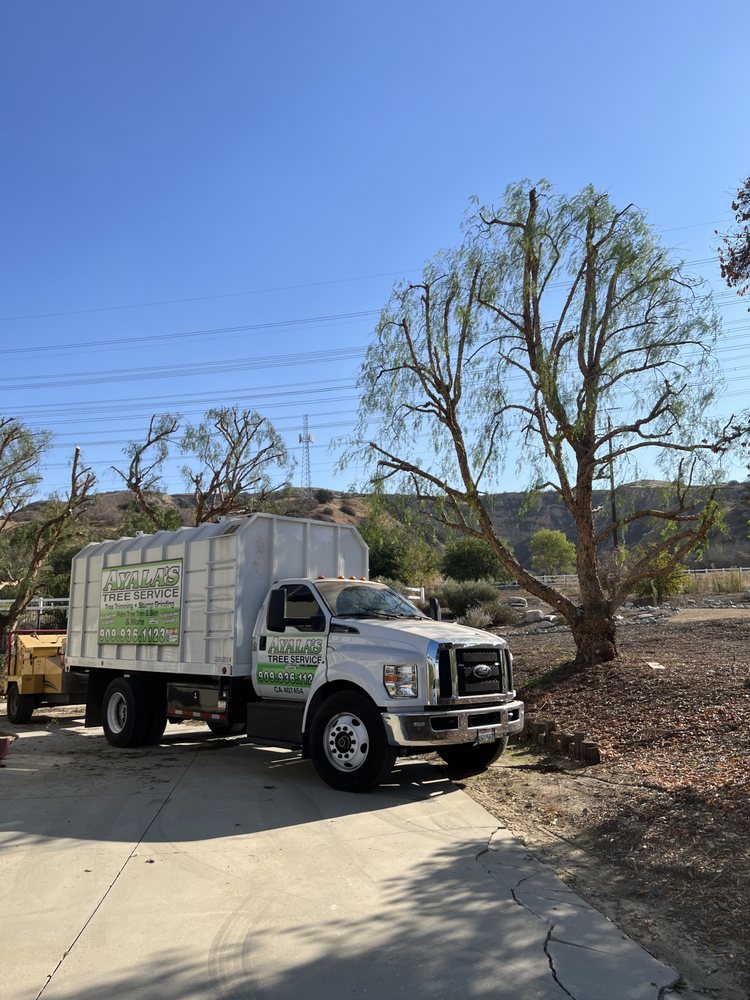 Ayala's Tree Service