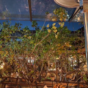 Mirate - Ambience - Mexican Near Me - Los Angeles, California