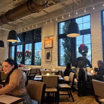 OLIVIA - Italian Near Me - Tampa, Florida OLIVIA - Italian Near Me - Tampa, Florida