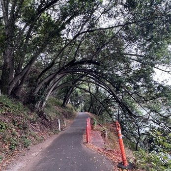 Lake Chabot Regional Park - Parks Near Me - Castro Valley, California Lake Chabot Regional Park - Parks Near Me - Castro Valley, California