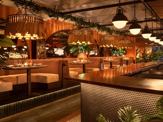 Toro Scottsdale by null