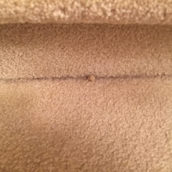 It's Maid Day - Milk bones! - Home Cleaning Near Me - Kennesaw, Georgia