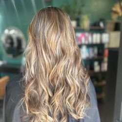 Wild Roots Salon