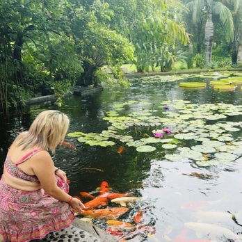 Miami Beach Botanical Garden - Feeding the fishes - Botanical Gardens Near Me - Miami Beach, Florida