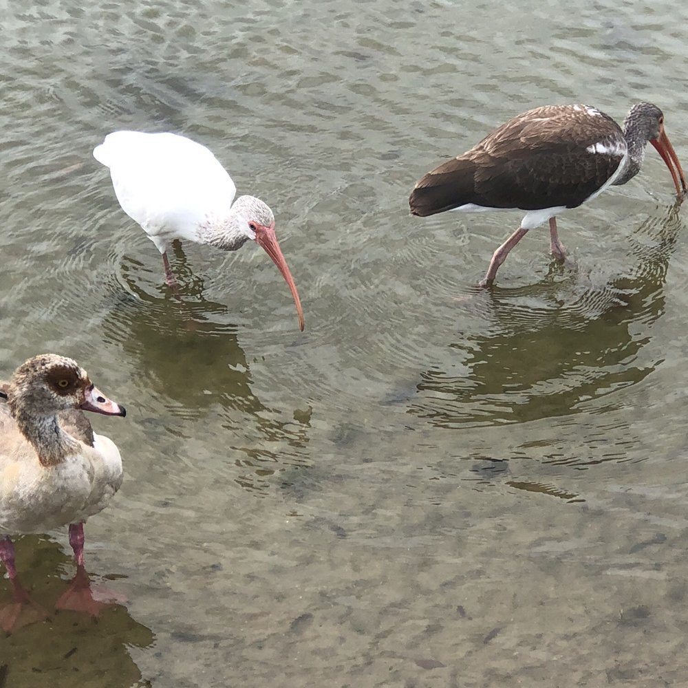Oak Lake Park - Parks Near Me - Hollywood, Florida Oak Lake Park - Parks Near Me - Hollywood, Florida
