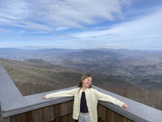 Brasstown Bald by null