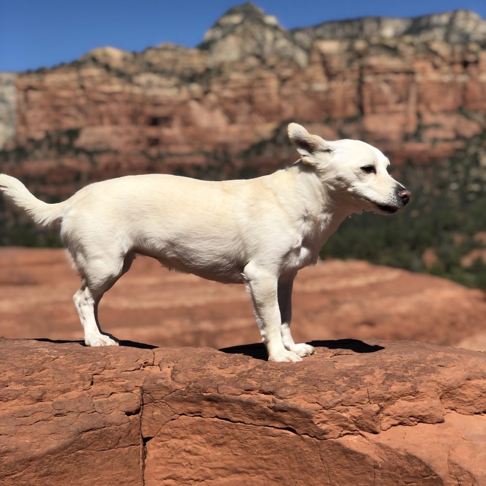 Broken Arrow Trail - Hiking Near Me