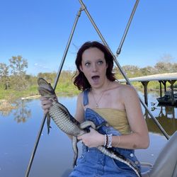 Airboat Tours By Arthur Matherne - Alligator