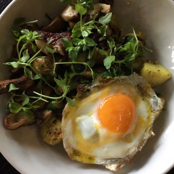 Ortolana - Potato, alliums, turmeric, fried egg - Desserts Near Me - Auckland, AUK Ortolana - Potato, alliums, turmeric, fried egg - Desserts Near Me - Auckland, AUK