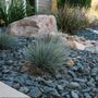 Photo of CityScapes Landscaping