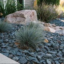 CityScapes Landscaping