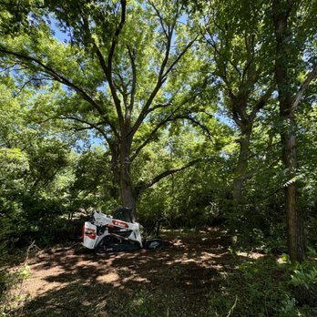 Fassio Land Solutions - Selective Land Clearing, by way of Forestry Mulching utilizing a Bobcat T86 with Diamond Mowers drum mulcher. Norman, Oklahoma - Excavation Services Near Me Fassio Land Solutions - Selective Land Clearing, by way of Forestry Mulching utilizing a Bobcat T86 with Diamond Mowers drum mulcher. Norman, Oklahoma - Excavation Services Near Me