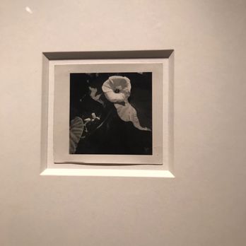 Denver Art Museum - Art Galleries Near Me - Denver, Colorado