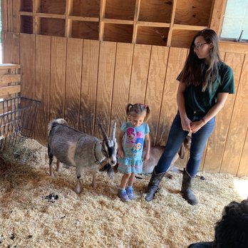 Heritage Park Petting Farm - More goats - Parks Near Me - Taylor, Michigan