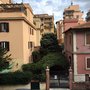 Photo of Roma Dreaming
