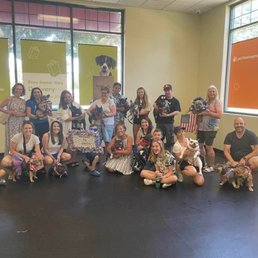 Roseville French Bulldog Meet Up Group