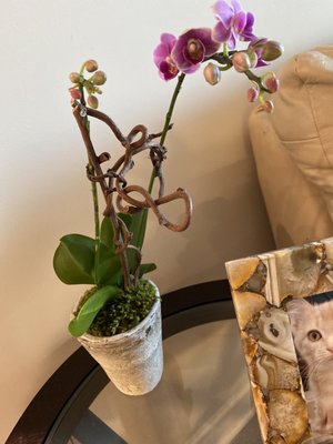 Le Jardin Français Boutique by null