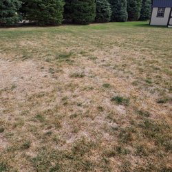 SpringGreen - Part of back yard, raking up dead grass