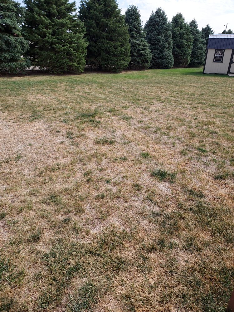 SpringGreen - tree service in Decatur, IL