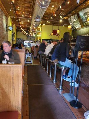 Pegasus Brooklyn by null