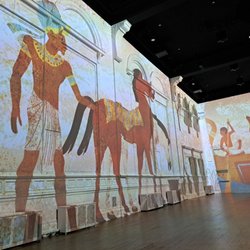 Egypt exhibit