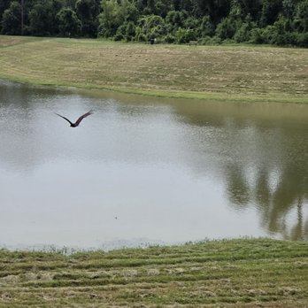 Forest Oaks Park - Parks Near Me - Spring, Texas Forest Oaks Park - Parks Near Me - Spring, Texas