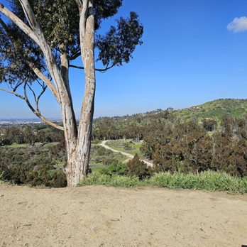 Arroyo Pescadero Park - Hiking Near Me - Whittier, California