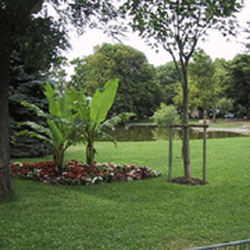 Jardin du Champ de Mars