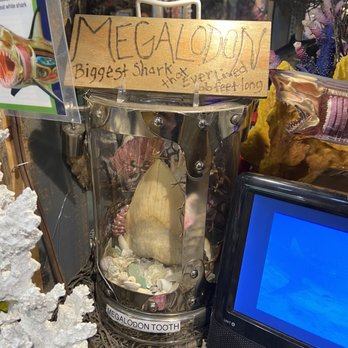 Gold Rush Mining Adventures - Fun things to look at in the shop - Souvenir Shops Near Me - Big Bear Lake, California