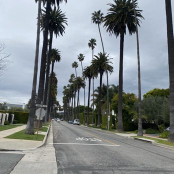 Star Track Tours - Tours Near Me - Los Angeles, California Star Track Tours - Tours Near Me - Los Angeles, California