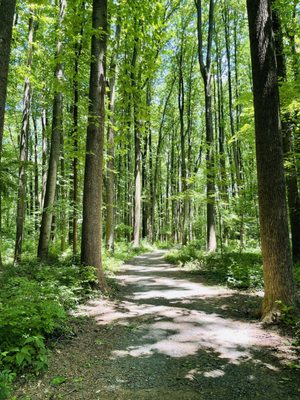 NOTTOWAY PARK Updated April 2025 9537 Courthouse Rd Vienna NOTTOWAY PARK Updated April 2025 9537 Courthouse Rd Vienna