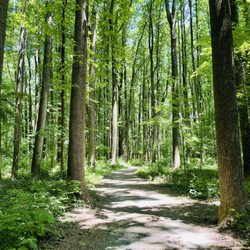 Nottoway Park