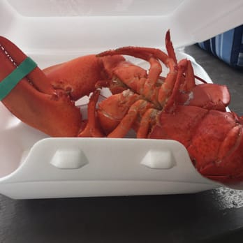 Beach Plum Lobster Farm - Awesome - Seafood Markets Near Me - Ogunquit, Maine