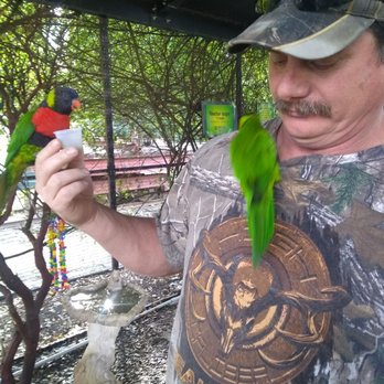 Turtle Bay Exploration Park - Museums Near Me - Redding, California Turtle Bay Exploration Park - Museums Near Me - Redding, California
