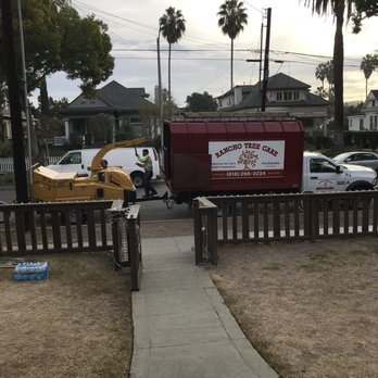Rancho Tree Care - Tree Services Near Me Rancho Tree Care - Tree Services Near Me