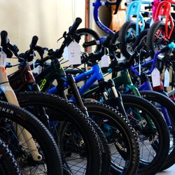 Lakeshore Bike