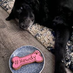Woof Gang Bakery & Grooming West U - Cute treats