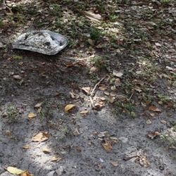 Vista Memorial Gardens Cemetery