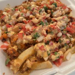 Close up of loaded fries