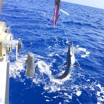 Cherry Pit - Spear Fish on the line w/ Captain Bobby on the Cherry Pit. - Fishing Near Me - Kailua Kona, Hawaii