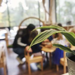 Learning Jungle - Adams - Preschool Class