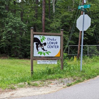 Duke University Lemur Center - Zoos Near Me - Durham, North Carolina