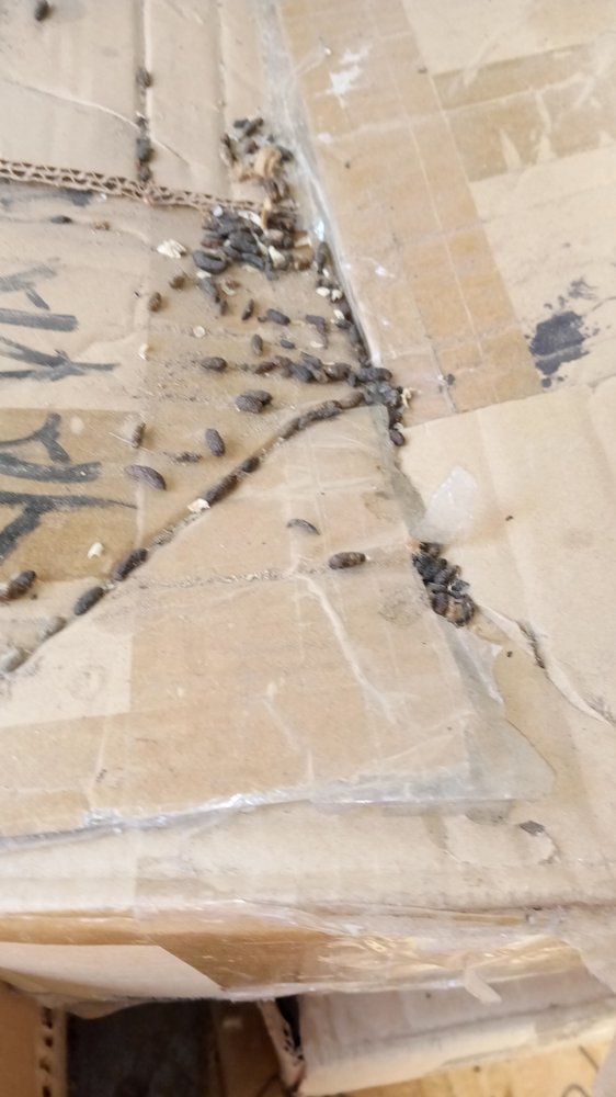 RELIABLE SELF STORAGE OF VICTORVILLE Updated September 2024 60