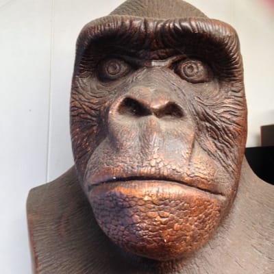 Bigfoot Discovery Museum by null