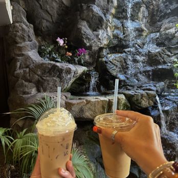 Banyan Breeze - Coffee & Tea Near Me - Honolulu, Hawaii Banyan Breeze - Coffee & Tea Near Me - Honolulu, Hawaii