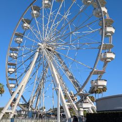 Long Beach Ferris Wheel