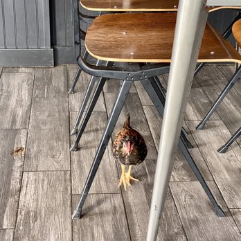 Easy ‘Que - Cute - Barbeque Near Me - Kailua, Hawaii