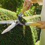 Photo of Evergreen Landscaping