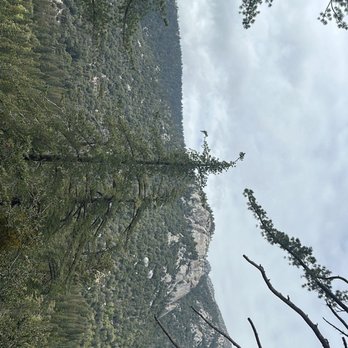 Ernie Maxwell Scenic Trail - Hiking Near Me